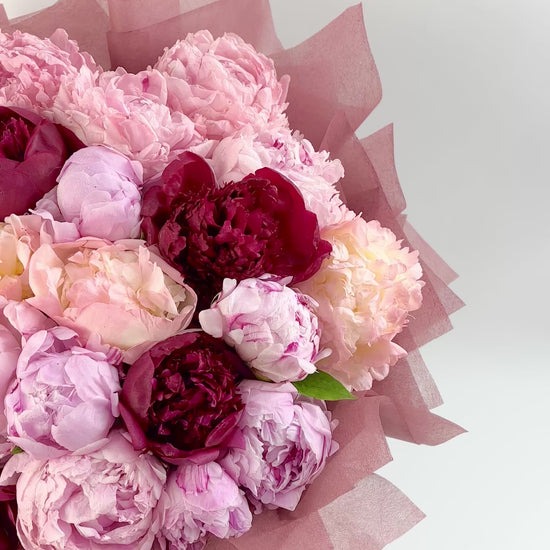 Peonies flowers