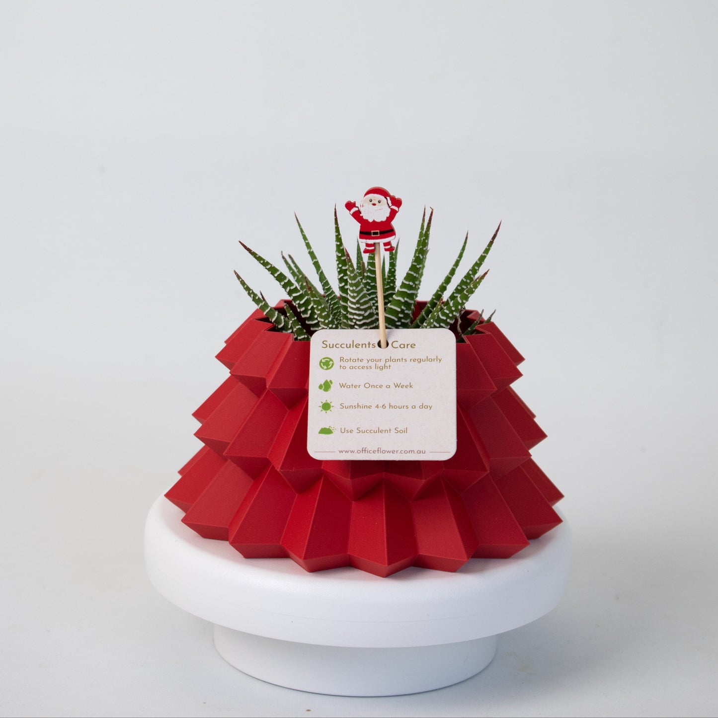 Red Christmas tree style planter holding a zebra haworthia succulent