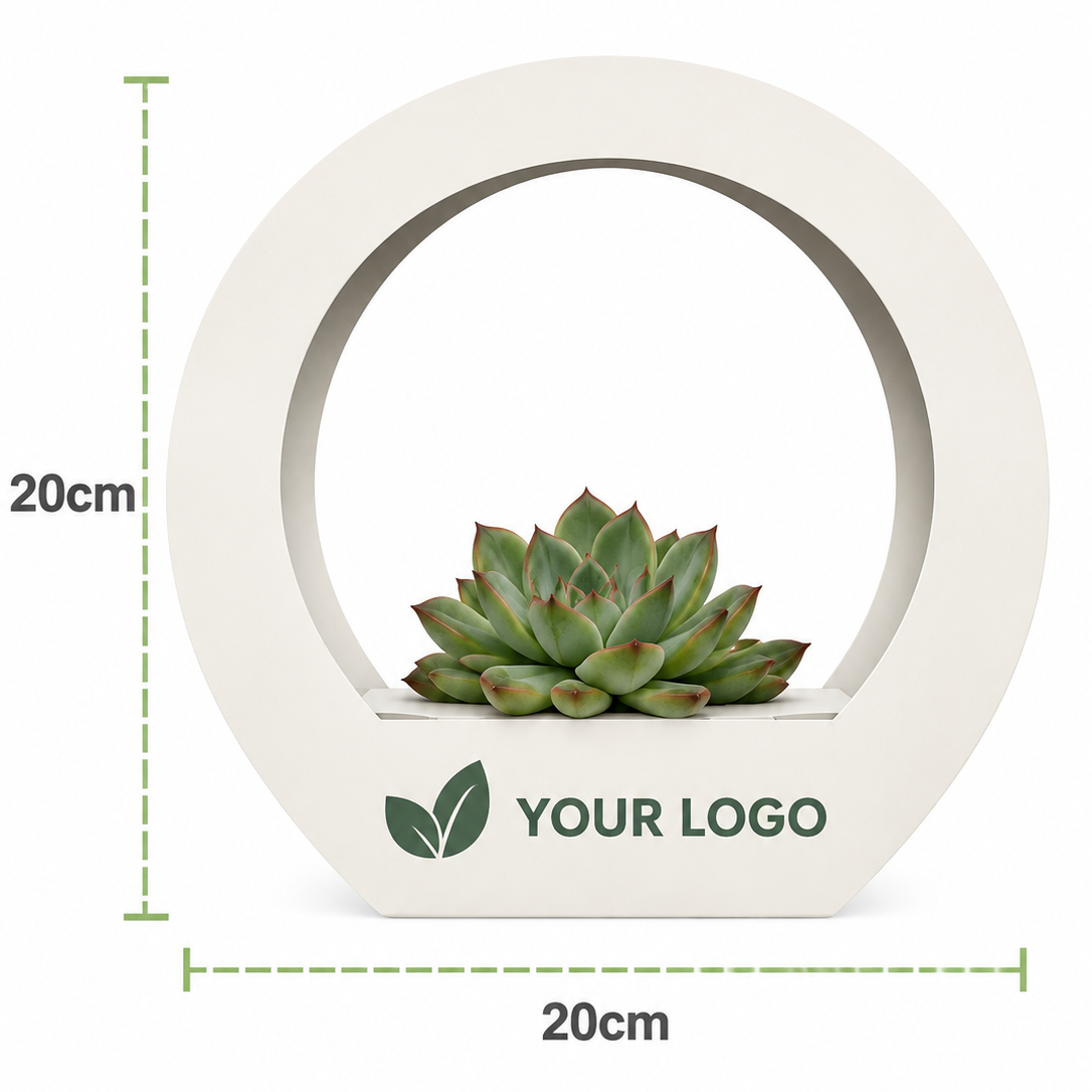 A circular white planter with a small succulent inside, shown with green dashed dimension lines indicating 20cm height and 20cm width, plus placeholder text reading YOUR LOGO on the front.