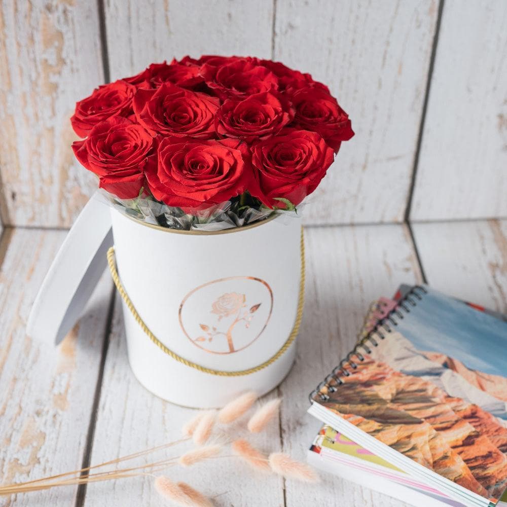 fresh-cut red roses 